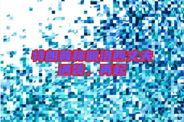 特朗普稱佩洛西丈夫遇襲，再起