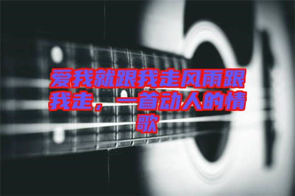 愛我就跟我走風雨跟我走，一首動人的情歌