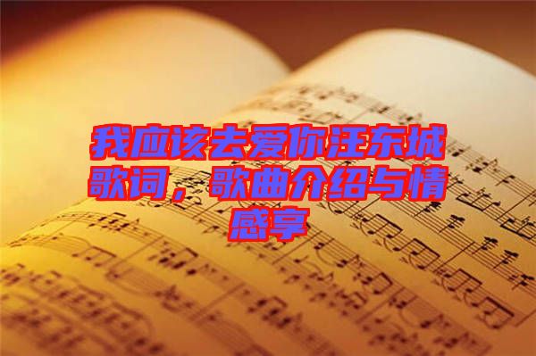 我應該去愛你汪東城歌詞，歌曲介紹與情感享