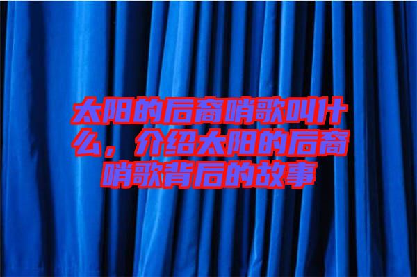 太陽的后裔哨歌叫什么，介紹太陽的后裔哨歌背后的故事