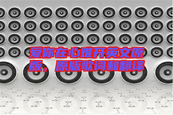 愛(ài)你在心難開(kāi)英文原版，原版歌詞和翻譯