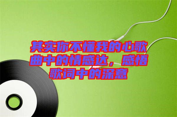 其實(shí)你不懂我的心歌曲中的情感達(dá)，感悟歌詞中的深意