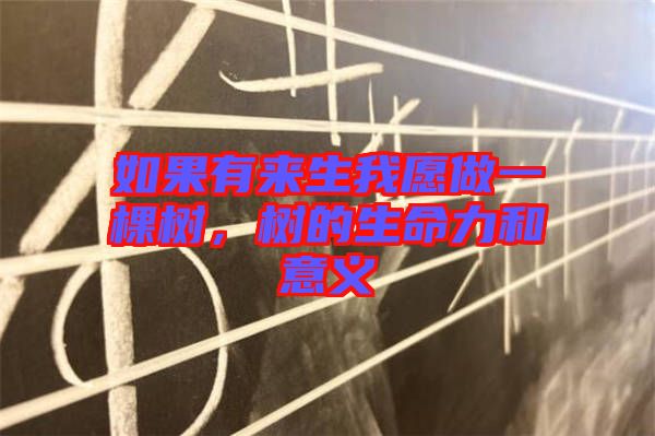 如果有來(lái)生我愿做一棵樹，樹的生命力和意義