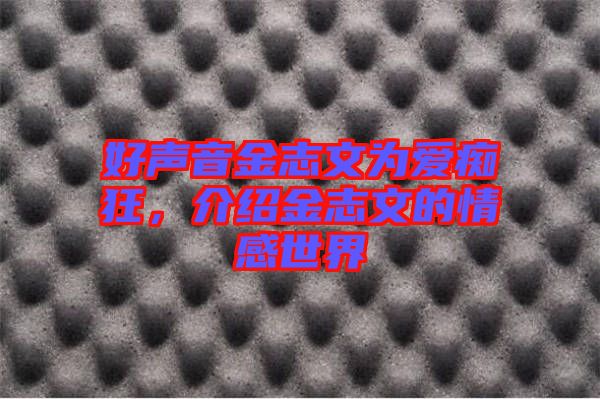 好聲音金志文為愛癡狂，介紹金志文的情感世界