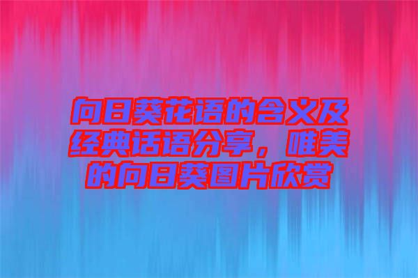 向日葵花語的含義及經(jīng)典話語分享，唯美的向日葵圖片欣賞