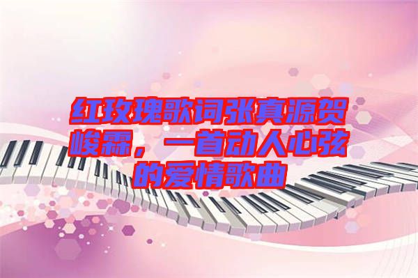 紅玫瑰歌詞張真源賀峻霖，一首動(dòng)人心弦的愛情歌曲