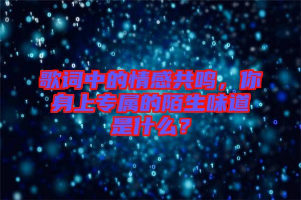 歌詞中的情感共鳴，你身上專屬的陌生味道是什么？