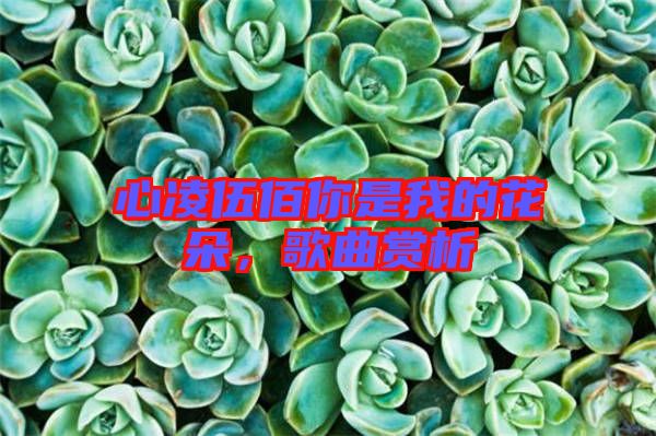 心凌伍佰你是我的花朵，歌曲賞析