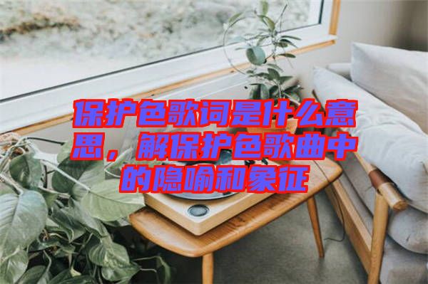 保護(hù)色歌詞是什么意思，解保護(hù)色歌曲中的隱喻和象征