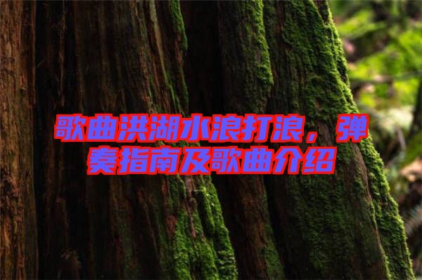 歌曲洪湖水浪打浪，彈奏指南及歌曲介紹