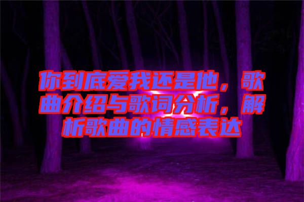 你到底愛我還是他，歌曲介紹與歌詞分析，解析歌曲的情感表達(dá)