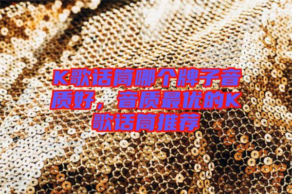 K歌話筒哪個(gè)牌子音質(zhì)好，音質(zhì)最優(yōu)的K歌話筒推薦