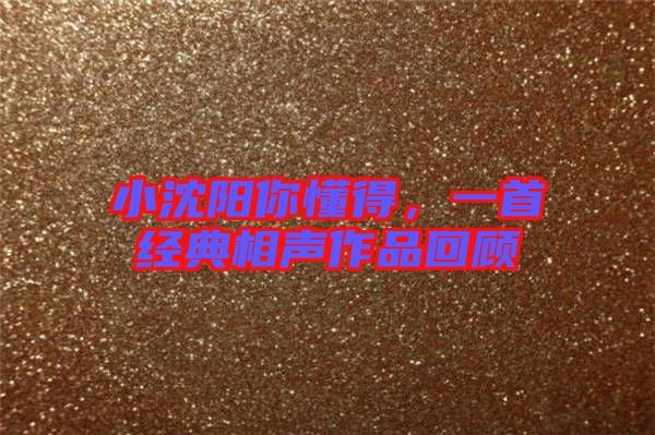 小沈陽你懂得，一首經(jīng)典相聲作品回顧