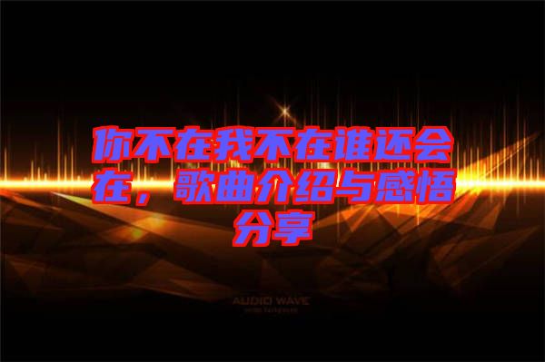 你不在我不在誰還會在，歌曲介紹與感悟分享