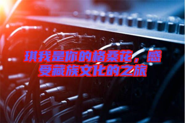 琪我是你的格?；?，感受藏族文化的之旅