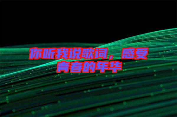 你聽我說歌詞，感受青春的年華