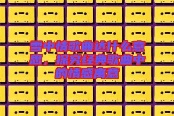 雪中情歌曲達什么意思，探究經(jīng)典歌曲中的情感寓意