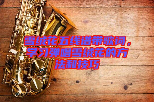 雪絨花五線譜帶歌詞，學(xué)習(xí)彈唱雪絨花的方法和技巧