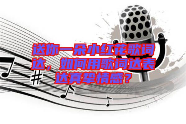 送你一朵小紅花歌詞達(dá)，如何用歌詞達(dá)表達(dá)真摯情感？