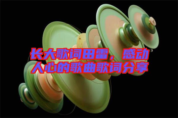 長大歌詞田雷，感動人心的歌曲歌詞分享