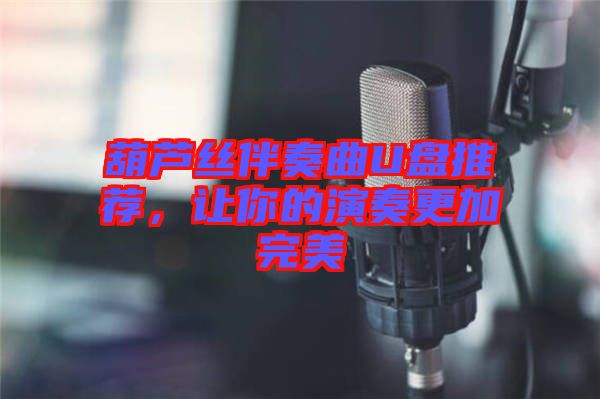 葫蘆絲伴奏曲U盤推薦，讓你的演奏更加完美