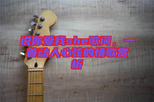 說你愛我she歌詞，一首動人心弦的情歌賞析