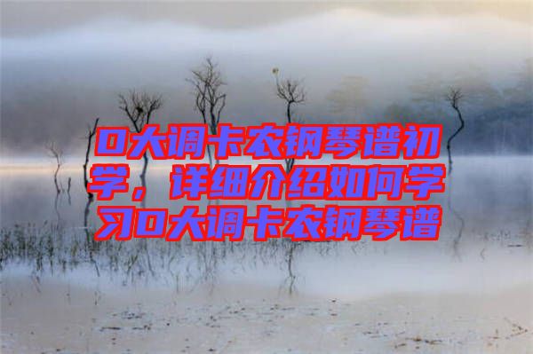 D大調(diào)卡農(nóng)鋼琴譜初學(xué)，詳細介紹如何學(xué)習(xí)D大調(diào)卡農(nóng)鋼琴譜