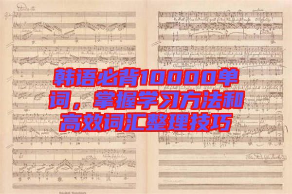 韓語(yǔ)必背10000單詞，掌握學(xué)習(xí)方法和高效詞匯整理技巧