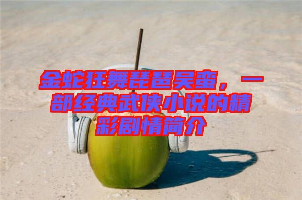 金蛇狂舞琵琶吳蠻，一部經(jīng)典武俠小說的精彩劇情簡介