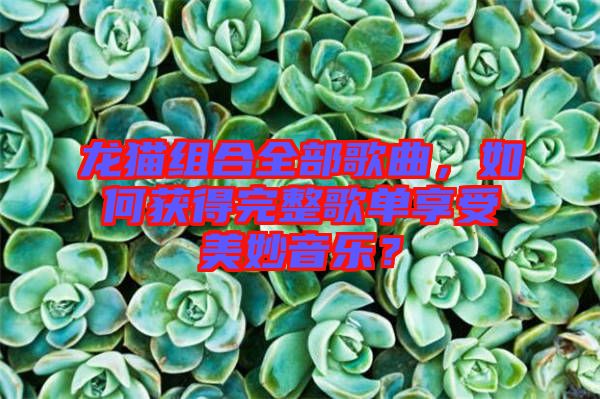 龍貓組合全部歌曲，如何獲得完整歌單享受美妙音樂？