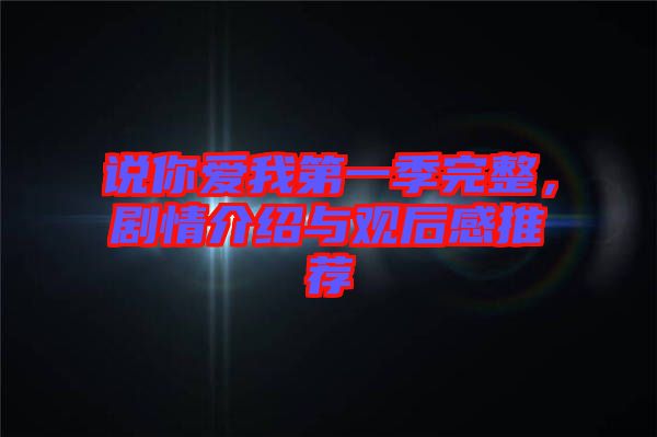 說(shuō)你愛(ài)我第一季完整，劇情介紹與觀后感推薦