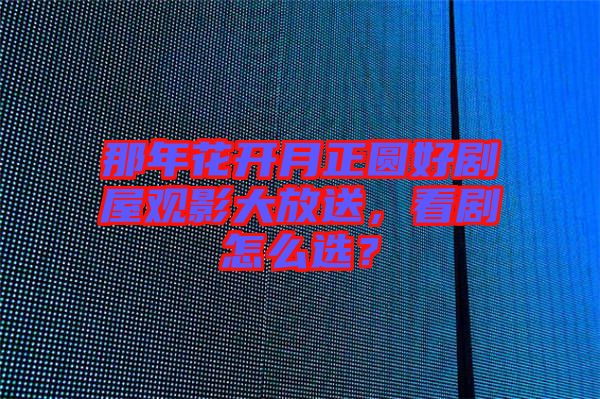 那年花開月正圓好劇屋觀影大放送，看劇怎么選？