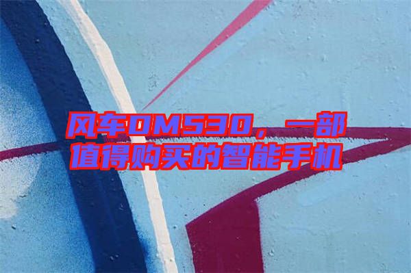 風(fēng)車(chē)DM530，一部值得購(gòu)買(mǎi)的智能手機(jī)