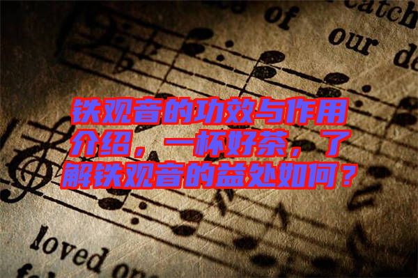 鐵觀音的功效與作用介紹，一杯好茶，了解鐵觀音的益處如何？