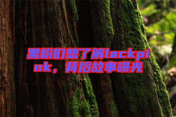 黑粉們想了解lackpink，背后故事曝光