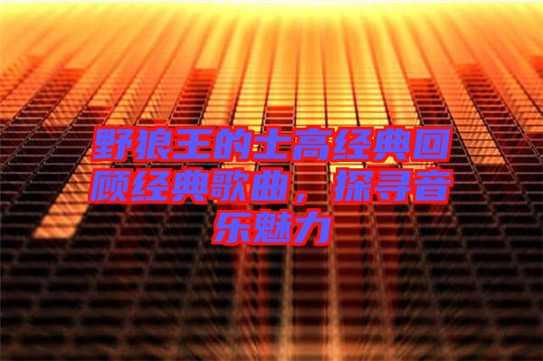 野狼王的士高經(jīng)典回顧經(jīng)典歌曲，探尋音樂魅力