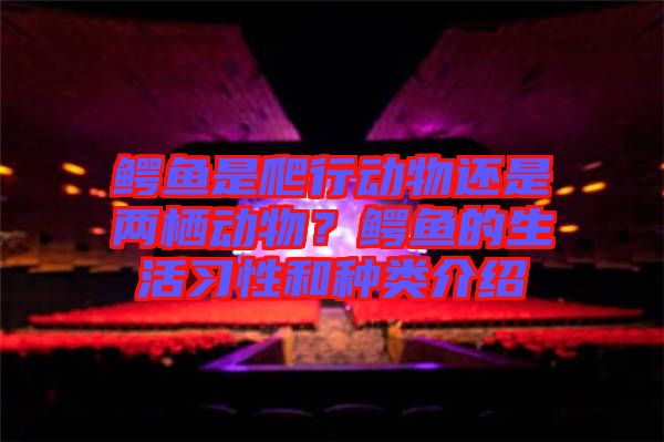 鱷魚是爬行動物還是兩棲動物？鱷魚的生活習(xí)性和種類介紹