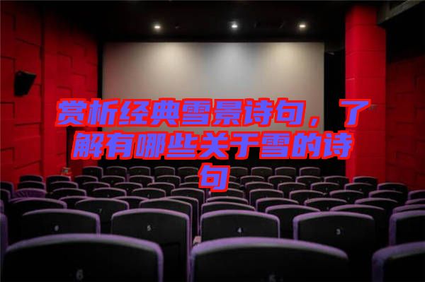 賞析經(jīng)典雪景詩(shī)句，了解有哪些關(guān)于雪的詩(shī)句
