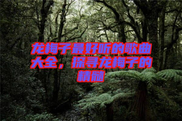 龍梅子最好聽的歌曲大全，探尋龍梅子的精髓