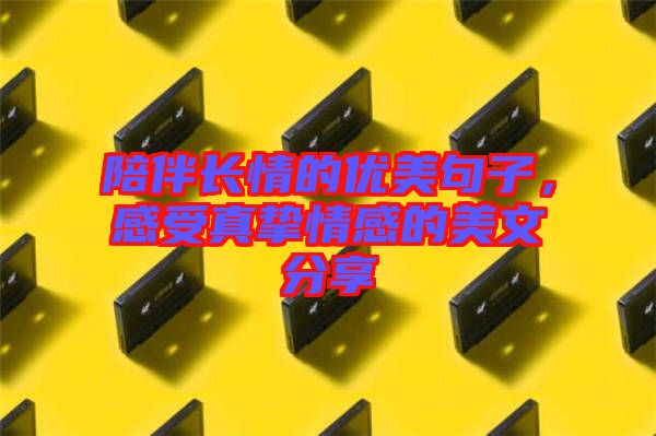 陪伴長情的優(yōu)美句子，感受真摯情感的美文分享