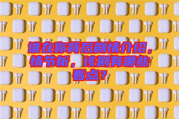 誰在你背后劇情介紹，情節(jié)析，該劇有哪些看點？