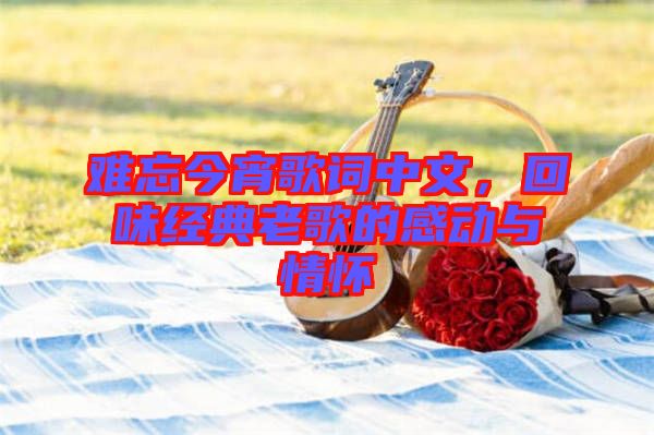 難忘今宵歌詞中文，回味經(jīng)典老歌的感動(dòng)與情懷