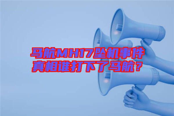 馬航MH17墜機事件真相誰打下了馬航？