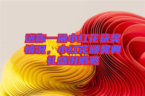 送你一朵小紅花獲獎情況，小紅花頒獎典禮盛況概覽