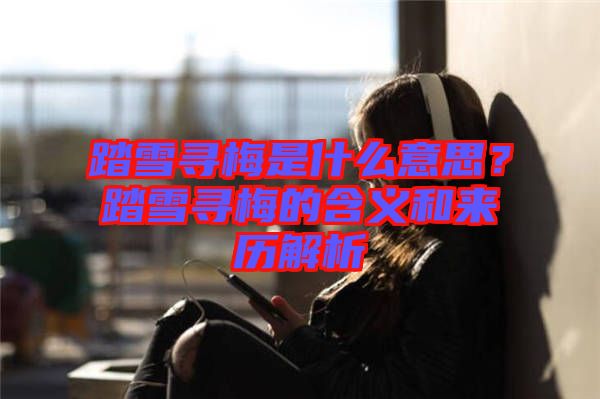 踏雪尋梅是什么意思？踏雪尋梅的含義和來歷解析