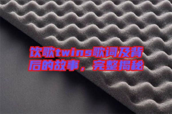 飲歌twins歌詞及背后的故事，完整揭秘
