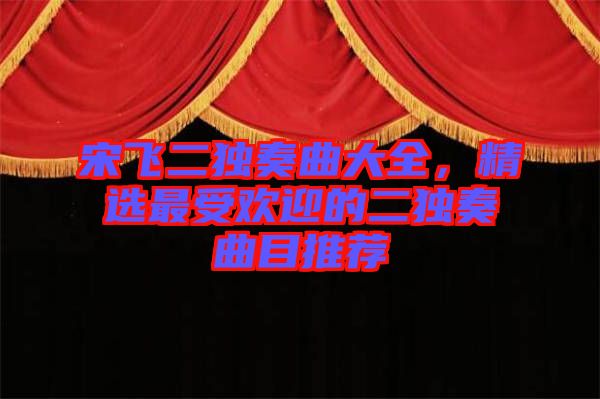宋飛二獨(dú)奏曲大全，精選最受歡迎的二獨(dú)奏曲目推薦