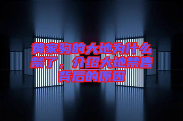 黃家駒的大地為什么禁了，介紹大地禁售背后的原因