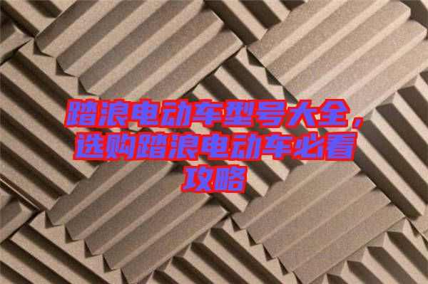 踏浪電動(dòng)車(chē)型號(hào)大全，選購(gòu)踏浪電動(dòng)車(chē)必看攻略