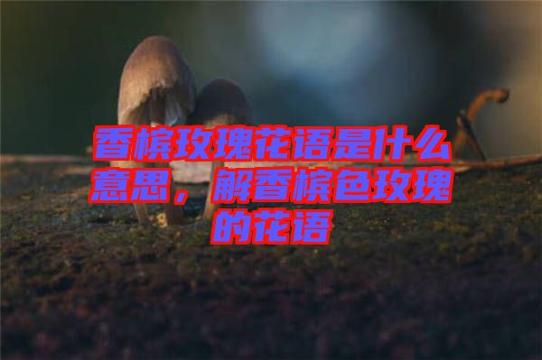 香檳玫瑰花語是什么意思，解香檳色玫瑰的花語